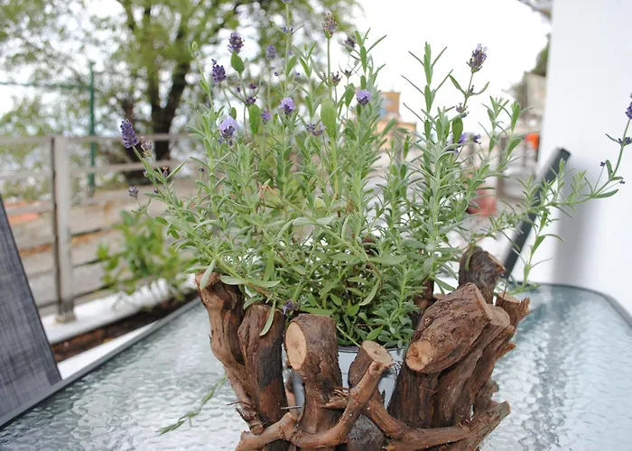 Panorama House דירה